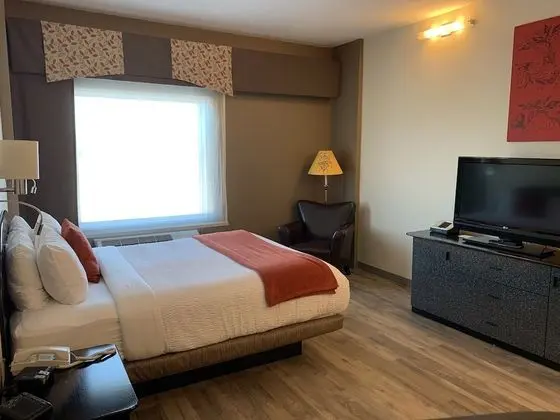 Executive Oda, 1 Büyük (Queen) Boy Yatak, Sigara İçilmez