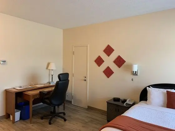 Executive Oda, 1 Büyük (Queen) Boy Yatak, Sigara İçilmez