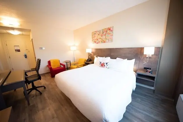 Oda, 1 En Büyük (King) Boy Yatak, Sigara İçilmez