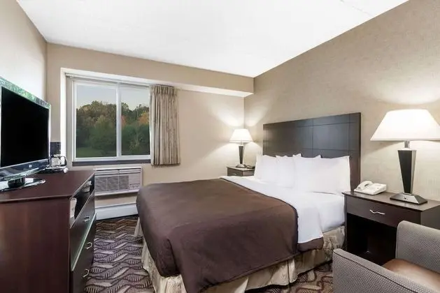 Oda, 1 Büyük (Queen) Boy Yatak, Sigara İçilmez (Pet-Friendly)