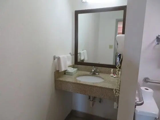Standard Tek Kişilik Oda, 1 En Büyük (King) Boy Yatak, Sigara İçilebilir
