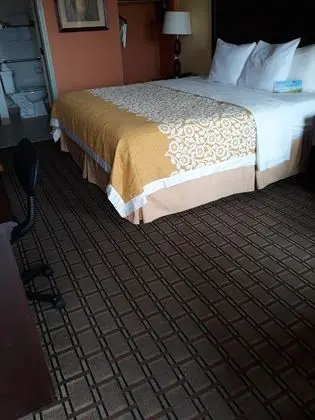 Standard Tek Kişilik Oda, 1 En Büyük (King) Boy Yatak, Sigara İçilebilir