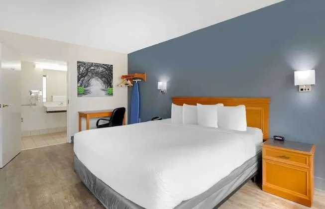 Stüdyo, 1 En Büyük (King) Boy Yatak, Engellilere Uygun, Sigara İçilmez