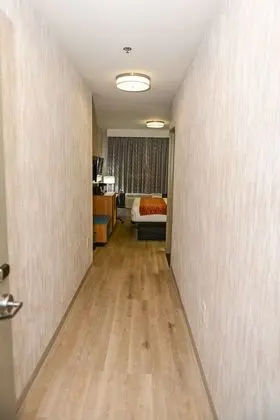 Oda, 1 En Büyük (King) Boy Yatak, Engellilere Uygun, Sigara İçilmez (Roll-In Shower)