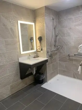 Oda, 1 En Büyük (King) Boy Yatak, Engellilere Uygun, Sigara İçilmez (Roll-In Shower)