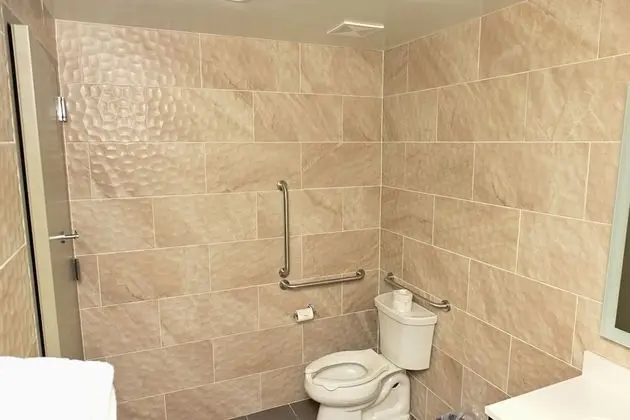Oda, 1 En Büyük (King) Boy Yatak, Engellilere Uygun, Sigara İçilmez (Roll-In Shower)