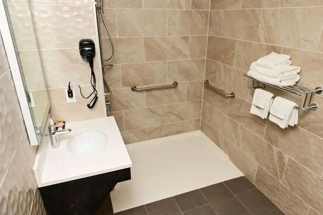 Oda, 1 En Büyük (King) Boy Yatak, Engellilere Uygun, Sigara İçilmez (Roll-In Shower)