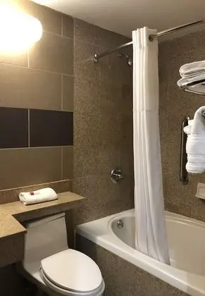 Tek Büyük Yataklı Oda, 2 Çift Kişilik Yatak