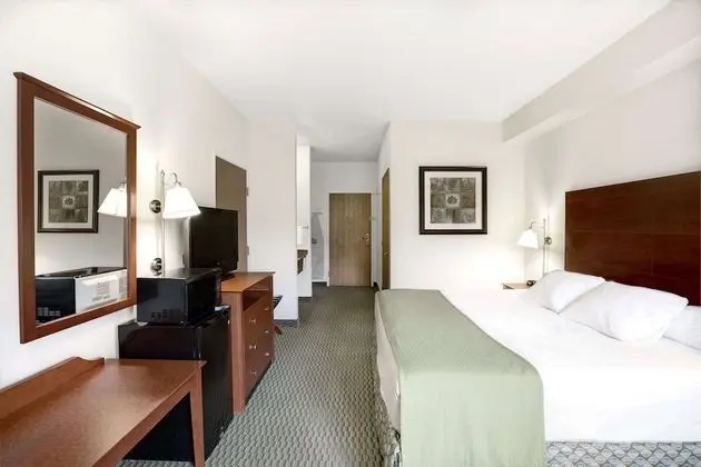 Stüdyo Süit, 1 En Büyük (King) Boy Yatak, Sigara İçilmez