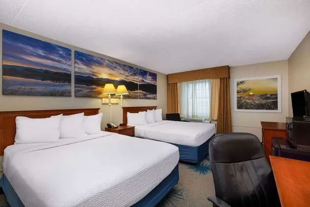 Oda, 2 Büyük (Queen) Boy Yatak, Sigara İçilmez (Pet-Friendly)
