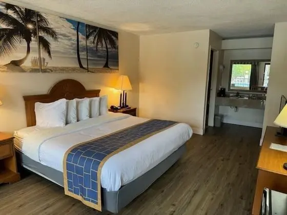 Standard Oda, 1 En Büyük (King) Boy Yatak, Engellilere Uygun