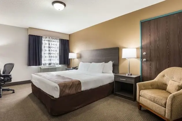 Oda, 1 En Büyük (King) Boy Yatak, Engellilere Uygun, Sigara İçilmez