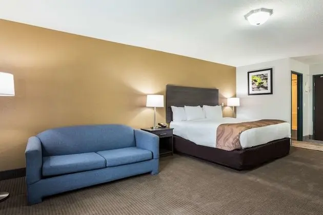 One King Bed Suite Non Smoking With 2 Person Sofa Bed