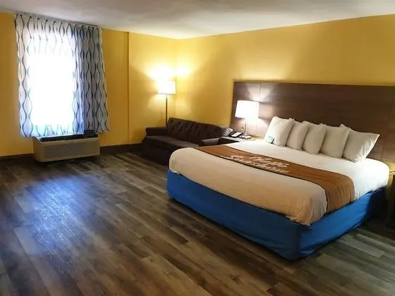 Stüdyo Süit, 1 En Büyük (King) Boy Yatak, Sigara İçilmez