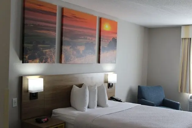 Oda, 1 Büyük (Queen) Boy Yatak, Sigara İçilmez (Pet-Friendly)