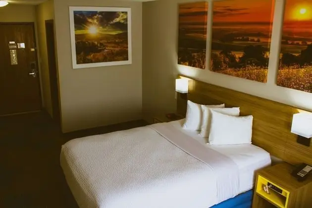 Oda, 1 Büyük (Queen) Boy Yatak, Sigara İçilmez (Pet-Friendly)