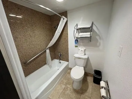 Oda, 1 En Büyük (King) Boy Yatak, Engellilere Uygun, Sigara İçilmez (Roll-In Shower)