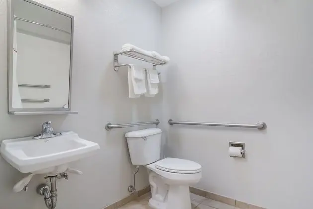 Deluxe Oda, 1 En Büyük (King) Boy Yatak, Engellilere Uygun, Sigara İçilmez (Roll-In Shower)