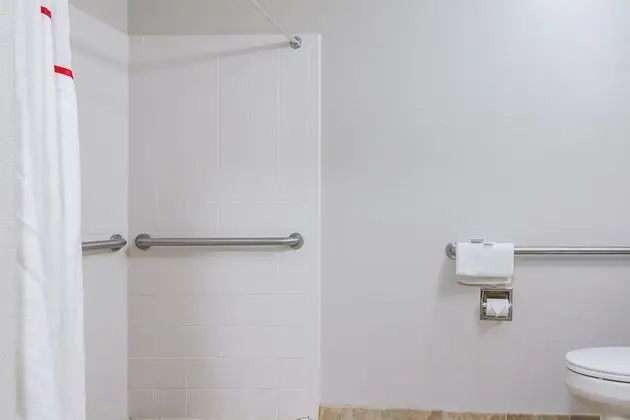 Deluxe Oda, 1 En Büyük (King) Boy Yatak, Engellilere Uygun, Sigara İçilmez (Roll-In Shower)