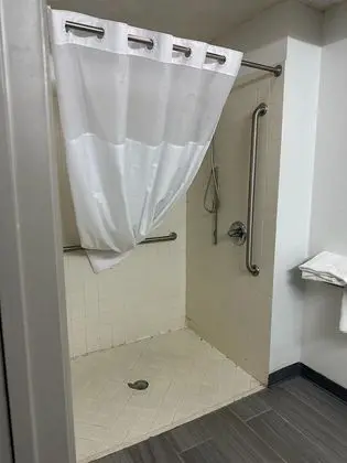 Standard Tek Kişilik Oda, 1 En Büyük (King) Boy Yatak, Engellilere Uygun