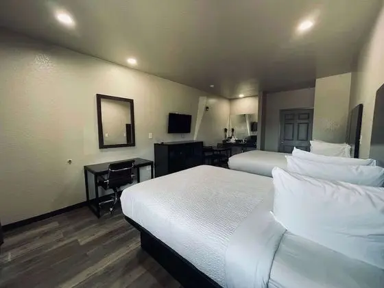 Deluxe Stüdyo Süit, Birden Çok Yatak, Sigara İçilmez