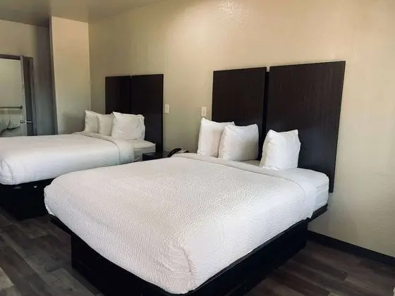Deluxe Stüdyo Süit, Birden Çok Yatak, Sigara İçilmez