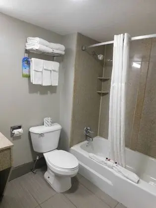 Deluxe Stüdyo Süit, 1 En Büyük (King) Boy Yatak, Sigara İçilmez