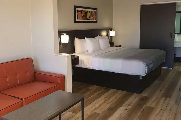 Standard Oda, 1 En Büyük (King) Boy Yatak, Sigara İçilmez