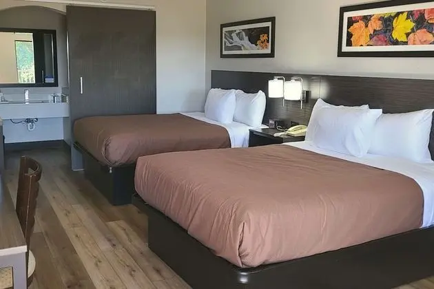 Standard Oda, 2 Çift Kişilik Yatak, Sigara İçilmez