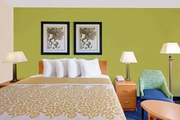 Oda, 1 En Büyük (King) Boy Yatak, Engellilere Uygun, Sigara İçilmez (Mobility Accessible)