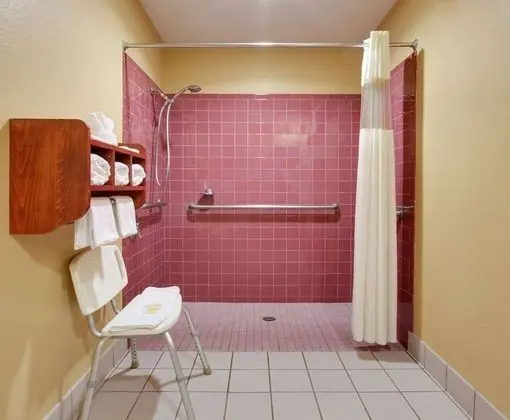 Oda, 1 En Büyük (King) Boy Yatak, Engellilere Uygun, Sigara İçilmez (Roll-In Shower)