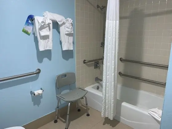 Oda, 1 En Büyük (King) Boy Yatak, Engellilere Uygun, Sigara İçilmez (Mobility, Bathtub w/Grab Bars)