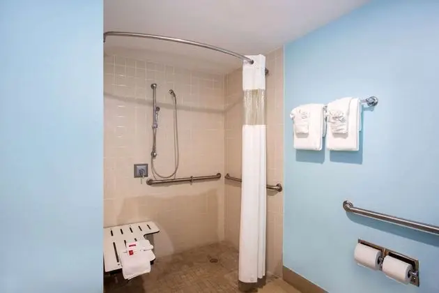 Oda, 1 En Büyük (King) Boy Yatak, Engellilere Uygun, Sigara İçilmez (Mobility, Roll-In Shower)