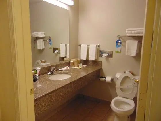 Business Oda, 1 En Büyük (King) Boy Yatak, Sigara İçilmez (Interior Room)