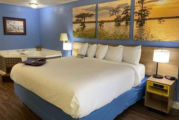 Deluxe Oda, 1 En Büyük (King) Boy Yatak, Sigara İçilebilir, Buzdolabı (Exterior Room)