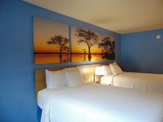 Deluxe Oda, 1 En Büyük (King) Boy Yatak, Sigara İçilebilir, Buzdolabı (Exterior Room)