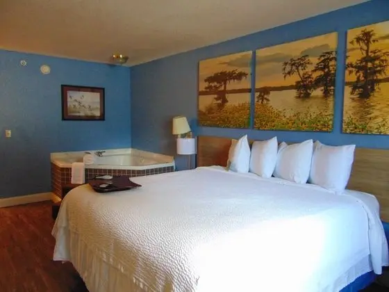 Deluxe Oda, 1 En Büyük (King) Boy Yatak, Sigara İçilebilir, Buzdolabı (Exterior Room)