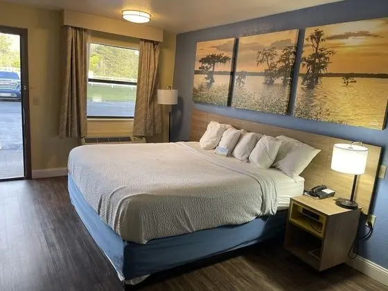 Deluxe Oda, 1 En Büyük (King) Boy Yatak, Sigara İçilebilir, Buzdolabı (Exterior Room)