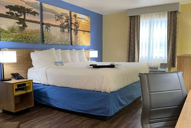 Standard Oda, 1 En Büyük (King) Boy Yatak, Sigara İçilebilir (Exterior Room)