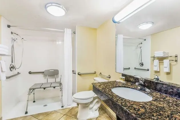 Oda, 1 Büyük (Queen) Boy Yatak, Engellilere Uygun, Sigara İçilmez (Mobility, roll-in shower)
