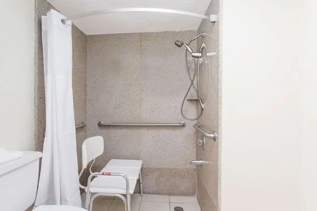 Basic Tek Büyük Yataklı Oda, 1 Çift Kişilik Yatak, Engellilere Uygun (Mobility,Tub w/Grab Bars)