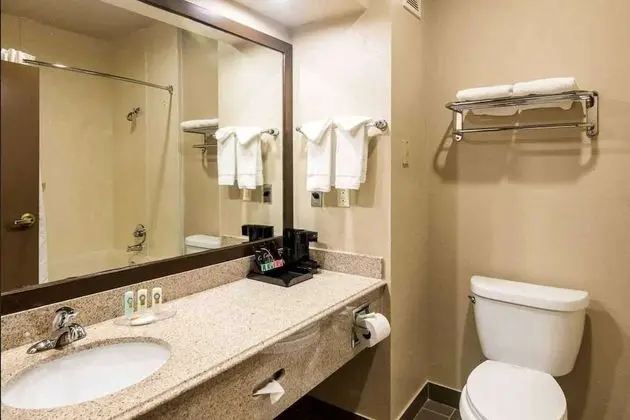 Oda, 2 Büyük (Queen) Boy Yatak, Engellilere Uygun, Sigara İçilmez (Mobility,Tub w/Grab Bars)