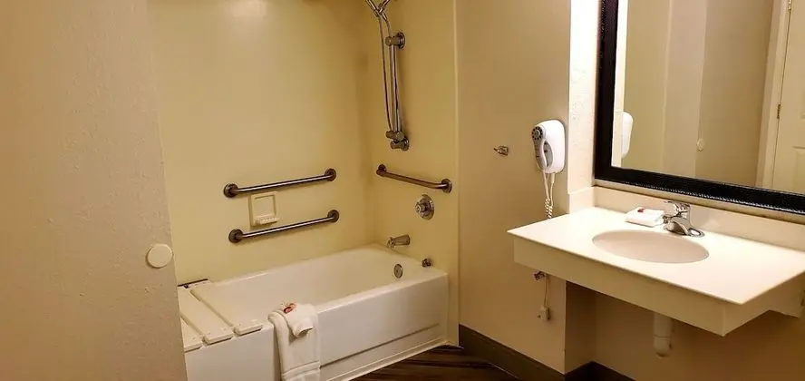 Deluxe Oda, 2 Çift Kişilik Yatak, Engellilere Uygun (Mobility/Hearing,roll-in shower)