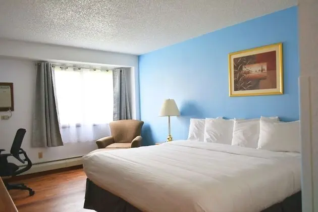 Standard Oda, 1 En Büyük (King) Boy Yatak, Sigara İçilmez, Buzdolabı ve Mikrodalga