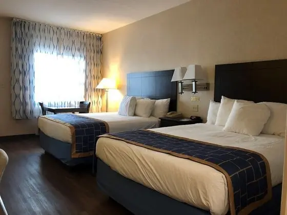 Oda, 2 Büyük (Queen) Boy Yatak, Sigara İçilmez (Pet-Friendly)