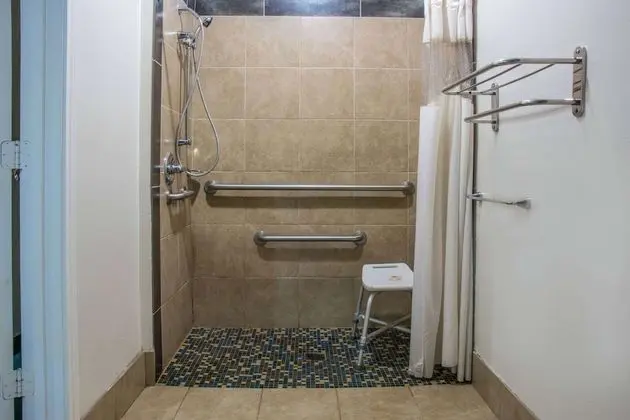Oda, 2 Çift Kişilik Yatak, Engellilere Uygun, Sigara İçilmez (Mobility,Hearing,Roll-In Shower)