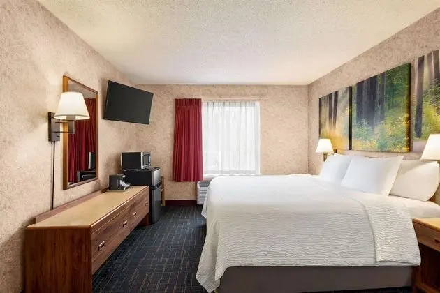 Süit, 1 Büyük (Queen) Boy Yatak