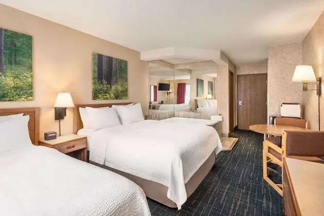 Süit, 1 Büyük (Queen) Boy Yatak