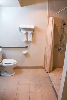 Oda, Birden Çok Yatak, Sigara İçilebilir (Mobility/Hearing/Roll-In Shower)