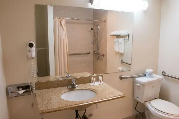 Oda, Birden Çok Yatak, Sigara İçilebilir (Mobility/Hearing/Roll-In Shower)